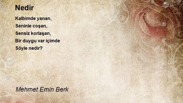 Mehmet Emin Berk