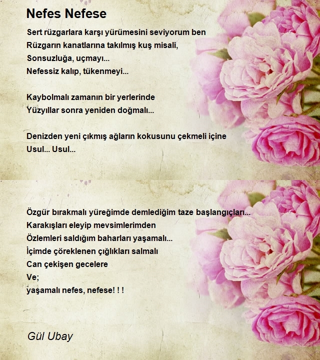 Gül Ubay