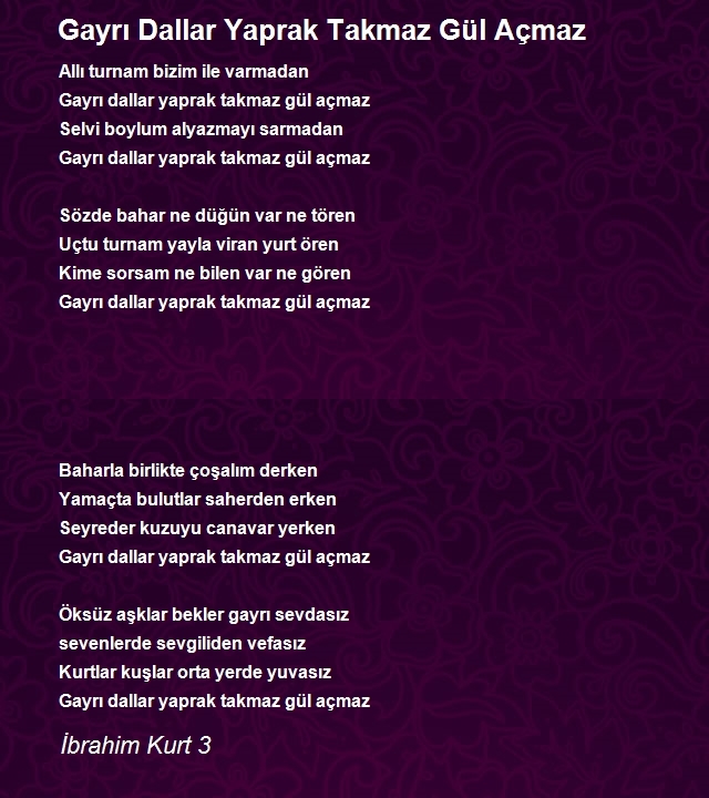 İbrahim Kurt 3