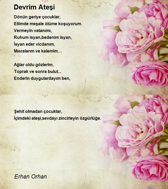 Erhan Orhan