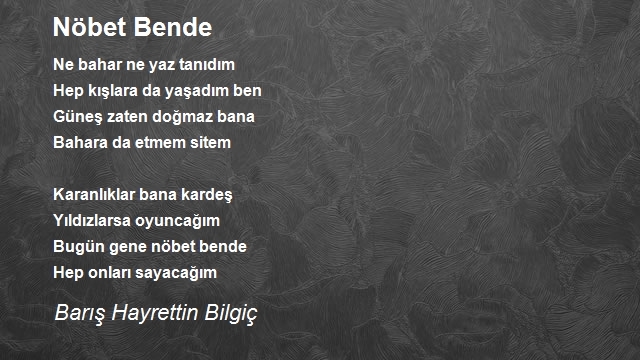 Barış Hayrettin Bilgiç