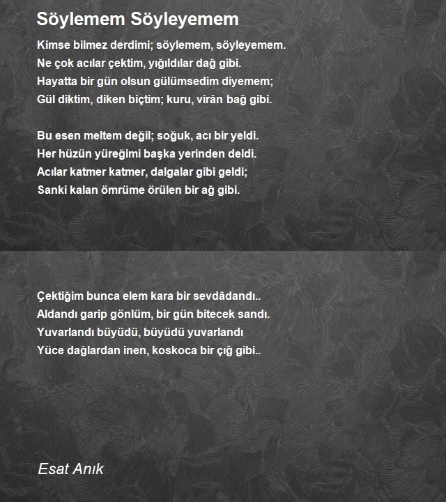 Esat Anık