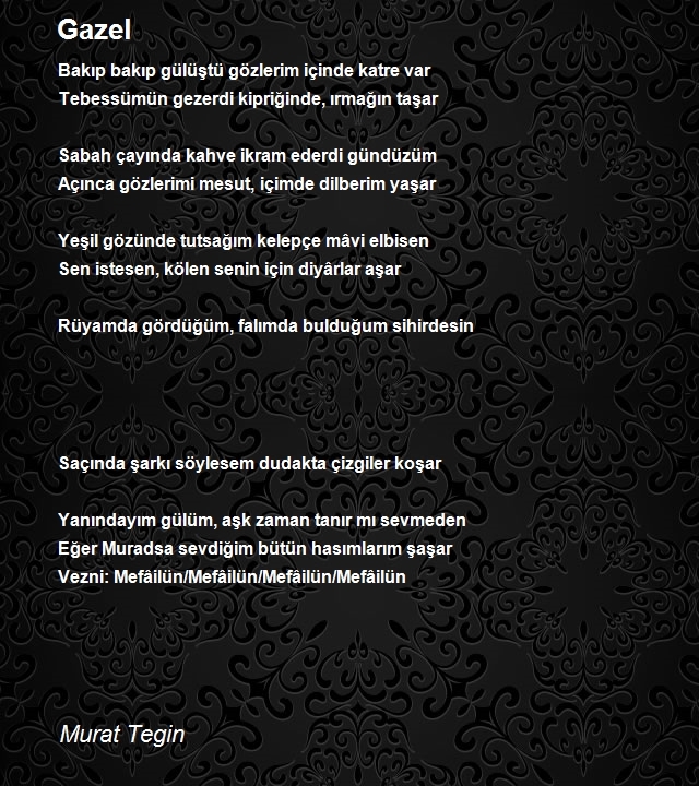 Murat Tegin