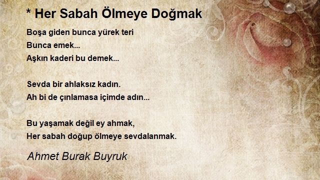 Ahmet Burak Buyruk