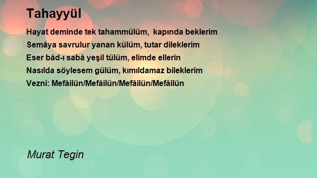 Murat Tegin