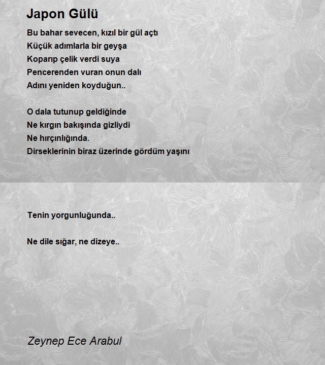 Zeynep Ece Arabul