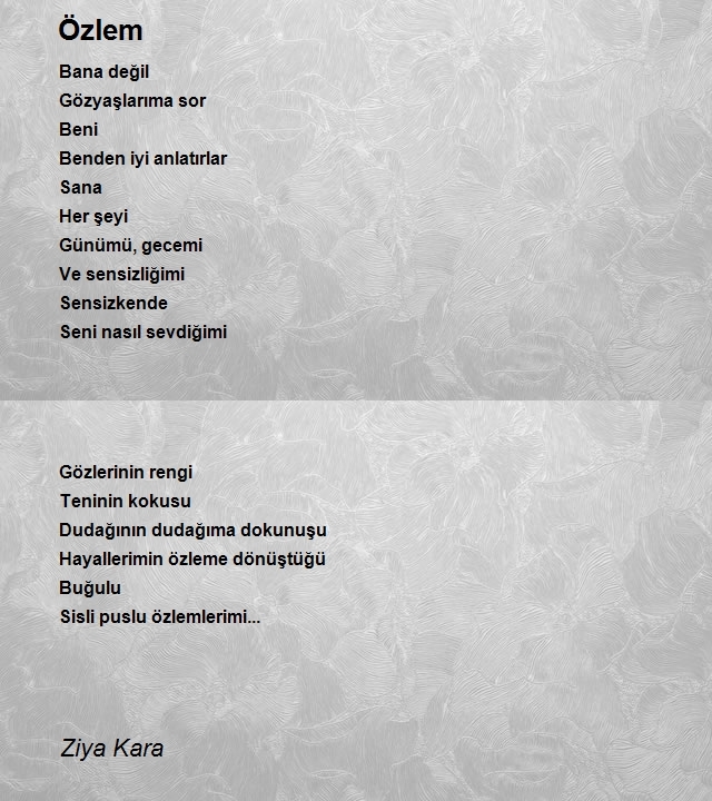 Ziya Kara