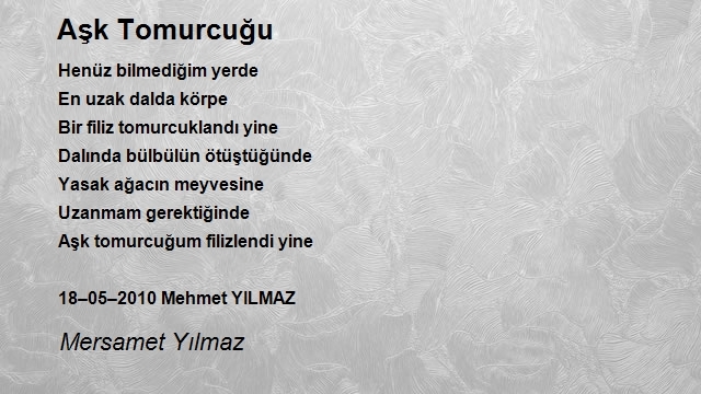 Mersamet Yılmaz