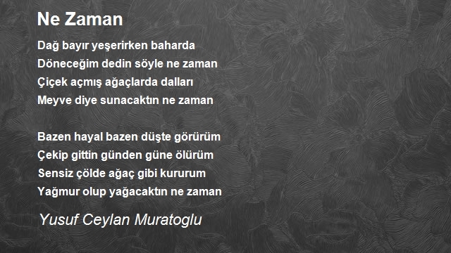 Yusuf Ceylan Muratoglu