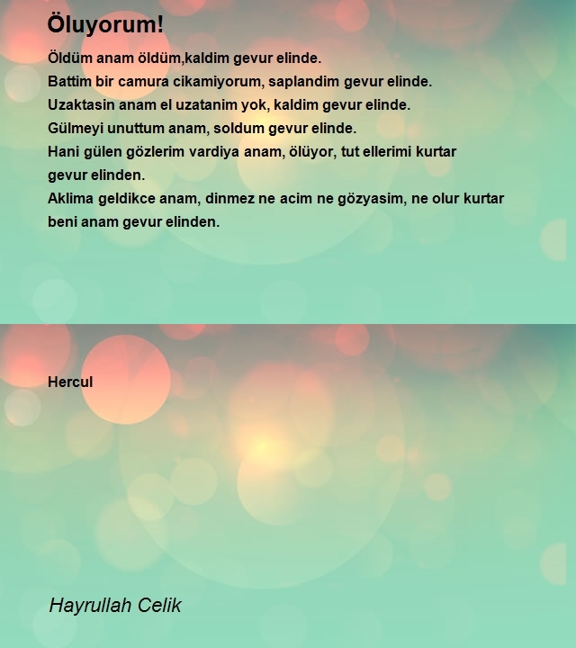 Hayrullah Celik