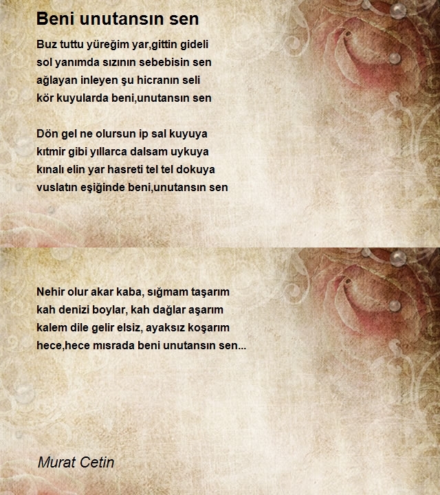 Murat Cetin