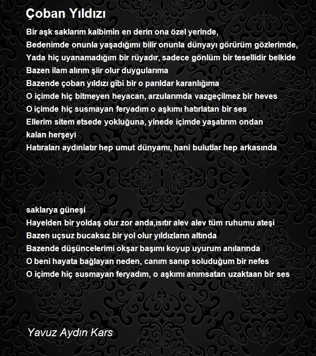 Yavuz Aydın Kars