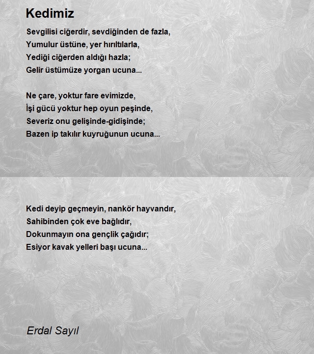 Erdal Sayıl