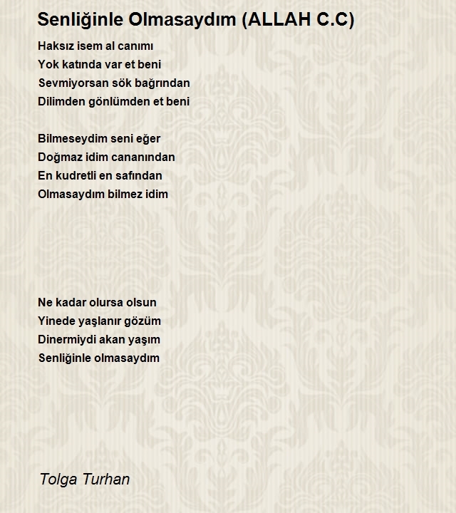 Tolga Turhan