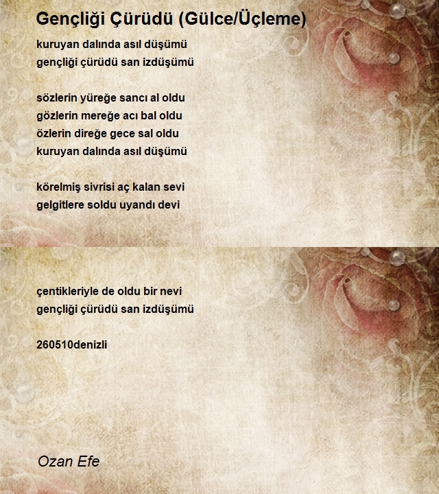 Ozan Efe