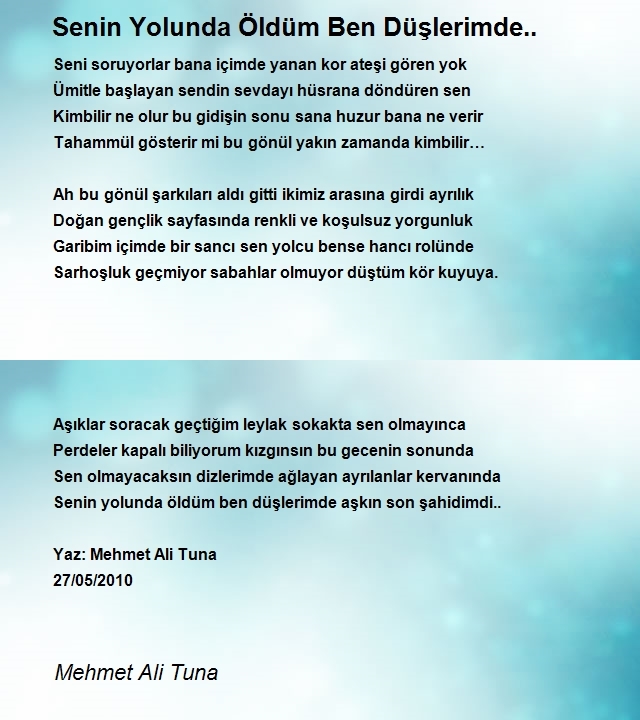 Mehmet Ali Tuna