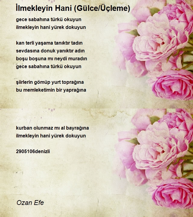 Ozan Efe