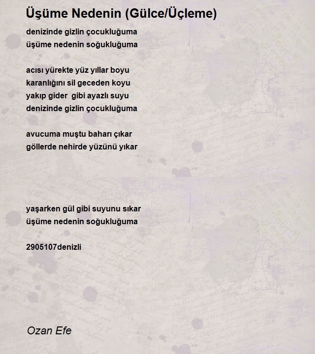 Ozan Efe