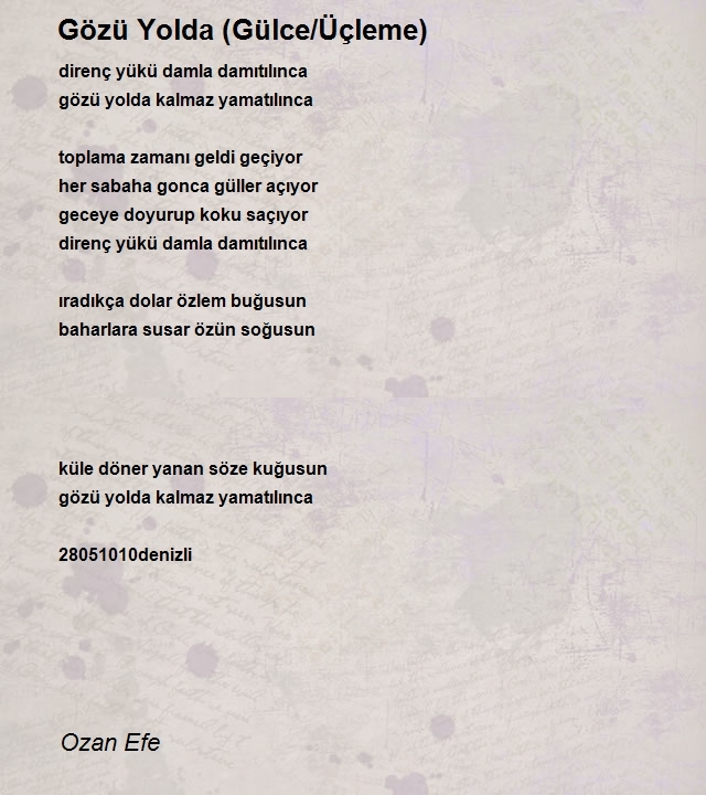 Ozan Efe