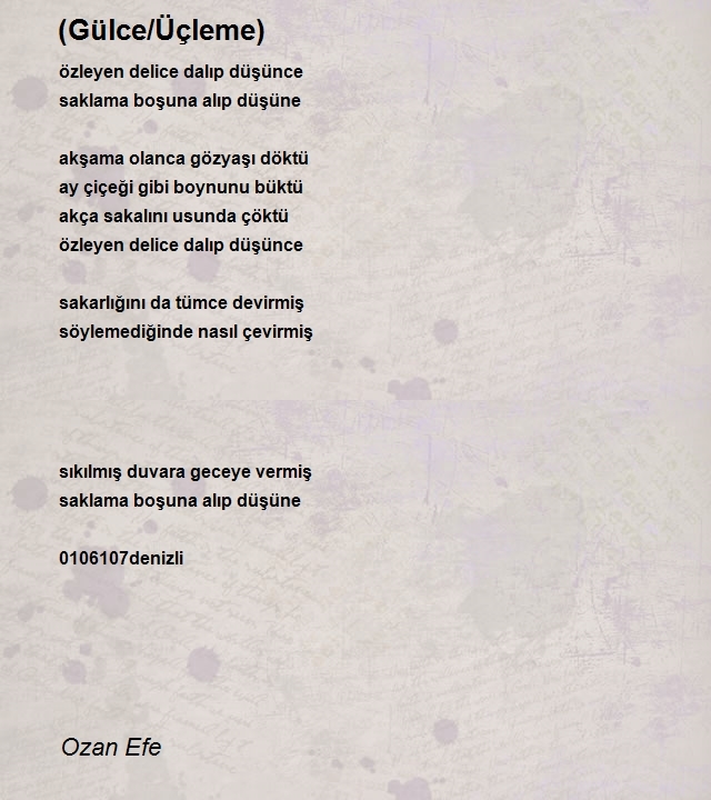 Ozan Efe