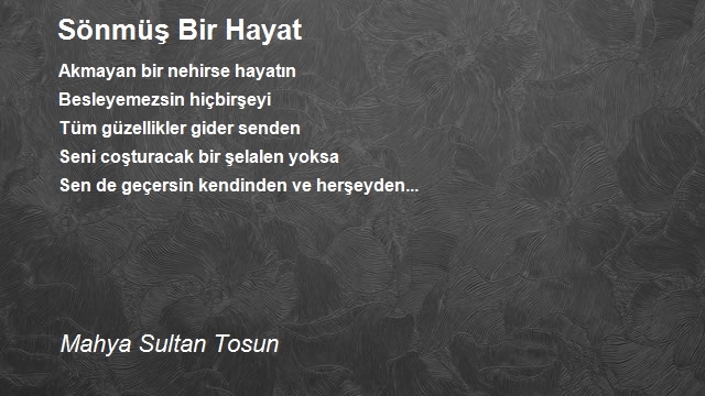 Mahya Sultan Tosun