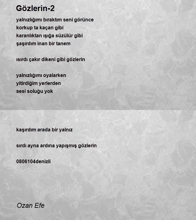 Ozan Efe