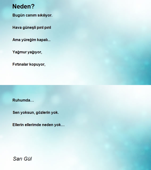 Sarı Gül