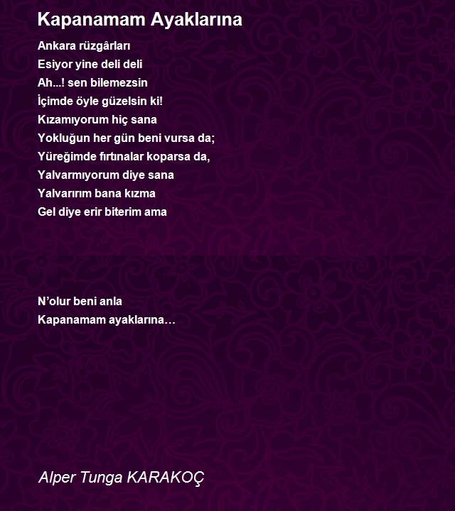 Alper Tunga KARAKOÇ