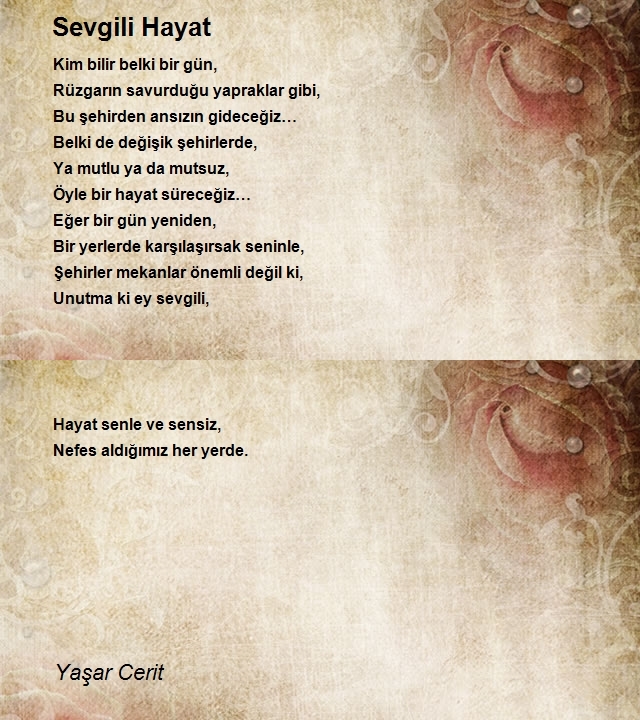 Yaşar Cerit