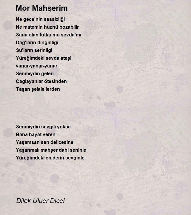 Dilek Uluer Dicel