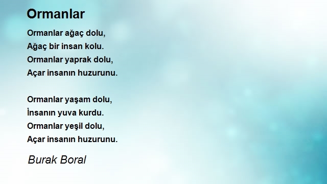 Burak Boral