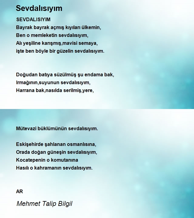 Mehmet Talip Bilgil