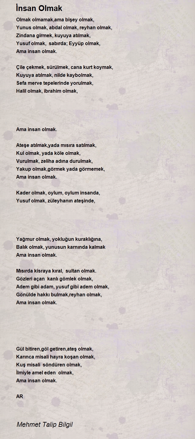 Mehmet Talip Bilgil