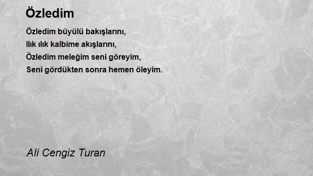 Ali Cengiz Turan