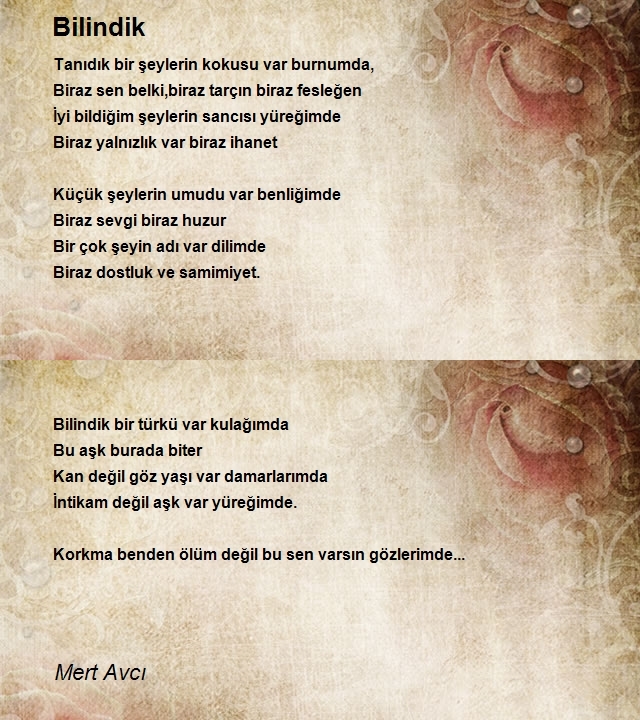 Mert Avcı