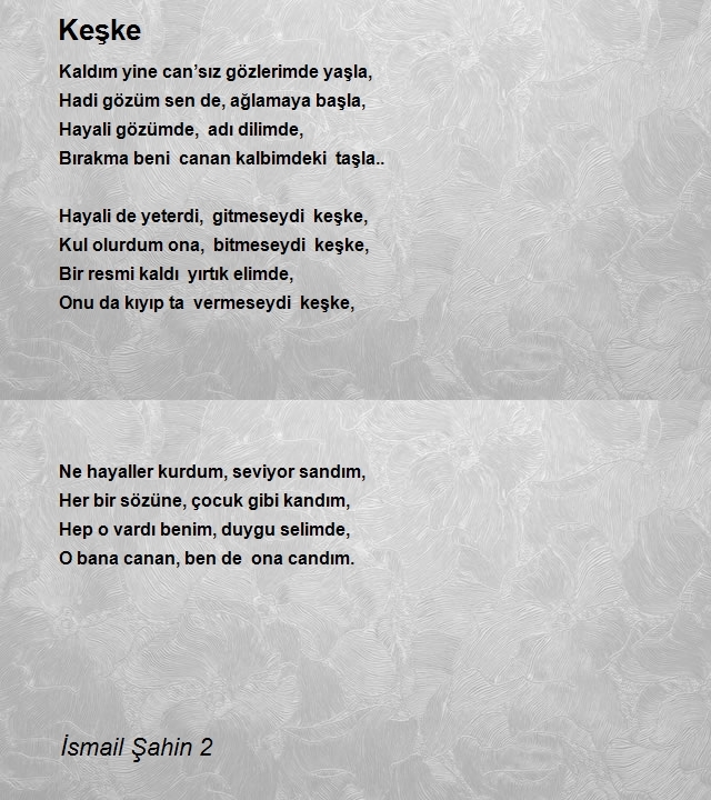 İsmail Şahin 2