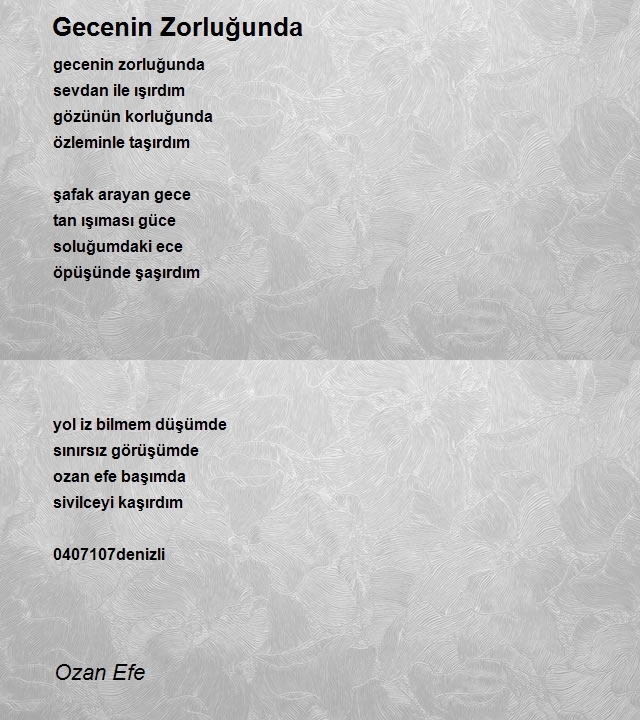 Ozan Efe