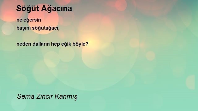 Sema Zincir Kanmış