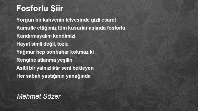 Mehmet Sözer