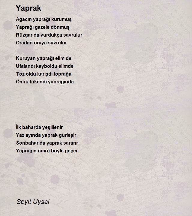 Seyit Uysal