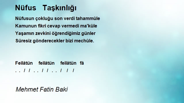 Mehmet Fatin Baki