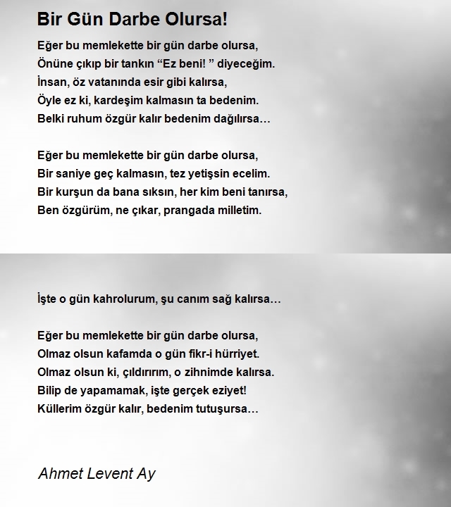 Ahmet Levent Ay