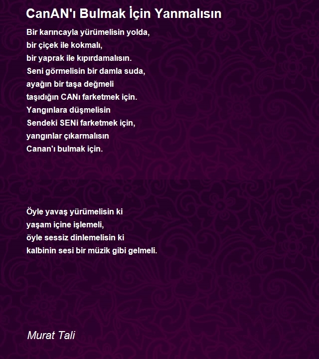 Murat Tali