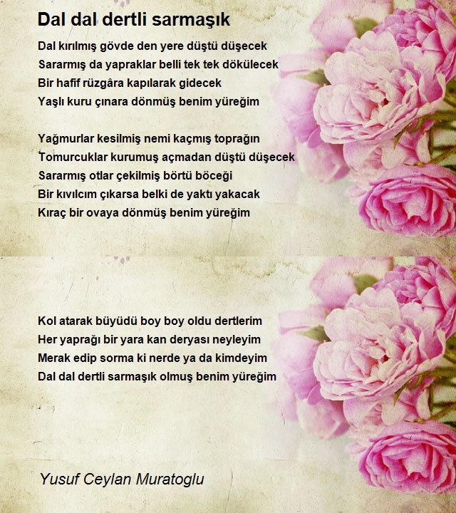 Yusuf Ceylan Muratoglu