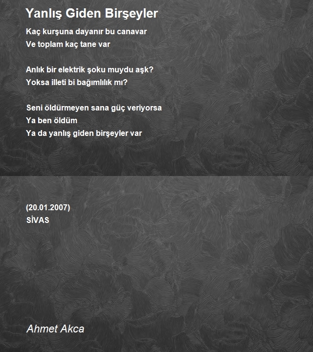 Ahmet Akca