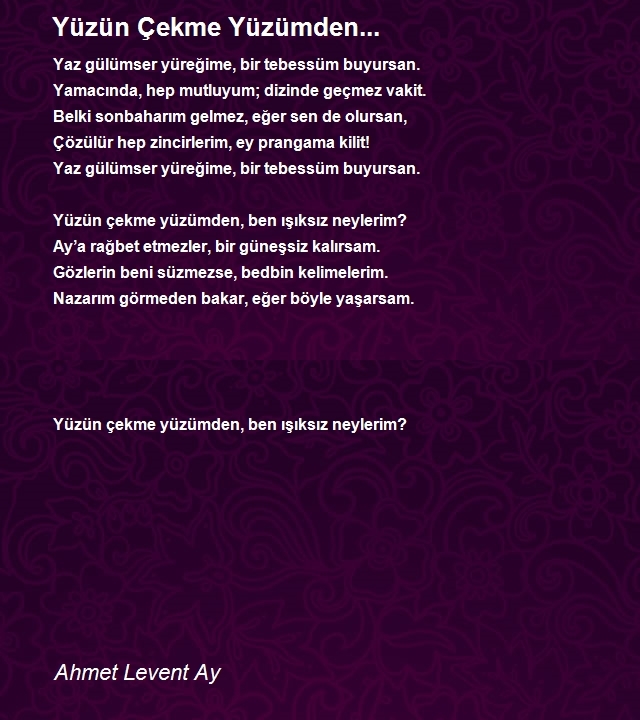 Ahmet Levent Ay