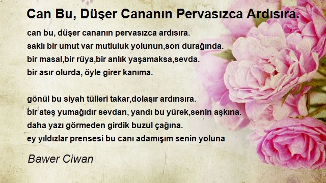 Bawer Ciwan