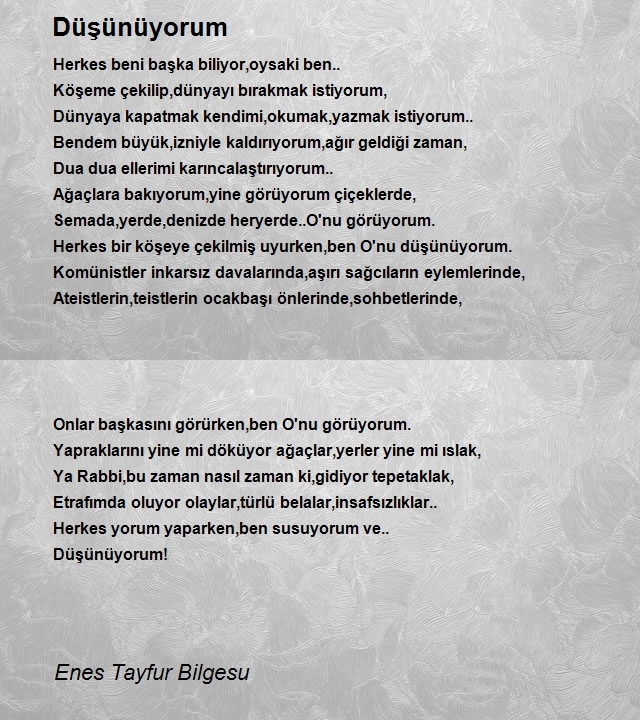 Enes Tayfur Bilgesu