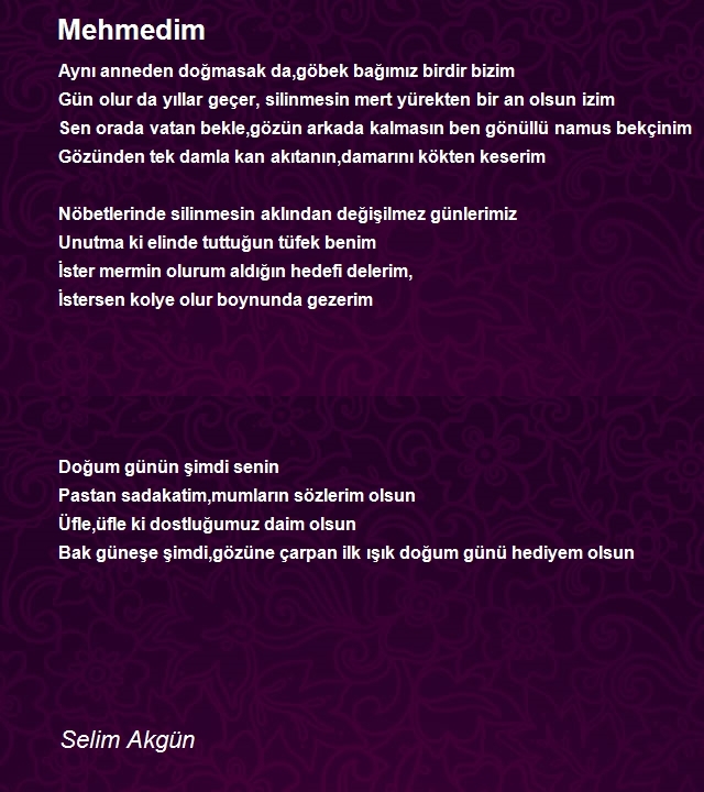 Selim Akgün