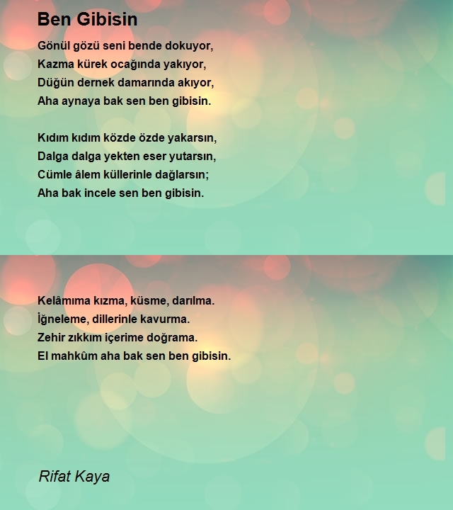 Rifat Kaya